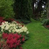 Najbolje i najljepše sorte i vrste astilbe sa fotografijom, imenom i opisom